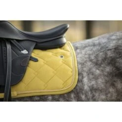 Lami-Cell Schabracke Luxor Vielseitigkeit Gold Warmblut -Waldhausen Verkaufe ekkia22 220 012 010 ambi4.8646ff 2