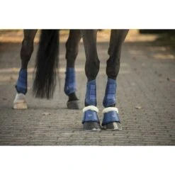 Lami-Cell Flex-Trainer Comfort Pistachio -Waldhausen Verkaufe ekkia22 550 108 306 ambi5.bc1f88