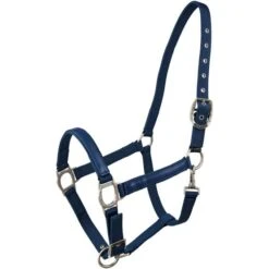 Lami-Cell Halfter Attol Blue Warmblut