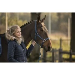 Lami-Cell Halfter Rasberry Vollblut -Waldhausen Verkaufe ekkia22 555 008 306 ambi2.46e506 1