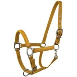 Lami-Cell Halfter Rasberry Vollblut -Waldhausen Verkaufe ekkia22 555 008 326.e79177 1