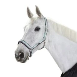 Eskadron Halfter Pin Buckle Schwarz -Waldhausen Verkaufe esk 410000 815 411 f.c2905c 3