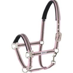 Eskadron Halfter Pin Buckle Blackberry -Waldhausen Verkaufe eskadron esk 410000 815 711 f.1c2000