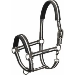 Eskadron Halfter Pin Buckle Dunkelblau -Waldhausen Verkaufe eskadron esk 410173 815 291 f.ec1e89 1