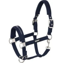 Eskadron Halfter Softshell Blackberry 8 Eskadron Halfter Softshell Blackberry -Waldhausen Verkaufe eskadron3103 esk 420000 832 380 f.c9a621