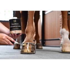 Excellence Huföl Special Bedding Naturell 9 Excellence Huföl Special Bedding Naturell -Waldhausen Verkaufe excellence ga6 5295b.576c89