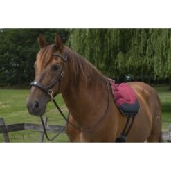 F.R.A. Bareback Pad Dardo Basic Schwarz Warmblut -Waldhausen Verkaufe fra bitless glory dsc06794 lg.3a40cc 2