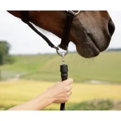 GoLeyGo Halfter 2.0 Braun/Hellblau 18 GoLeyGo Halfter 2.0 Braun/Hellblau -Waldhausen Verkaufe glg 322137621.537cc3 1