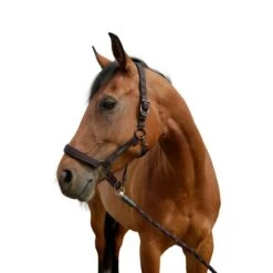 GoLeyGo Halfter 2.0 Braun/Hellblau 17 GoLeyGo Halfter 2.0 Braun/Hellblau -Waldhausen Verkaufe glg 322137622.5902bd 1