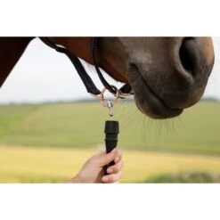 GoLeyGo Halfter 2.0 Braun/Hellblau 14 GoLeyGo Halfter 2.0 Braun/Hellblau -Waldhausen Verkaufe glg 322138221.0dd468 1