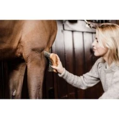 Grooming Deluxe By Kentucky Bürste Mittel Hart -Waldhausen Verkaufe groomingdeluxe 82120 05 4 resultaat.cc6133