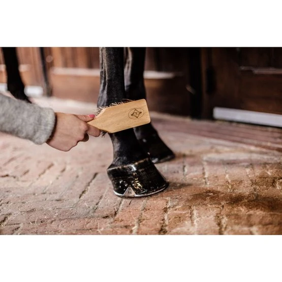 Grooming Deluxe By Kentucky Hufbürste 4 Grooming Deluxe By Kentucky Hufbürste – Bild 2