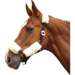 Harry's Horse Halfter Lammfell Set Naturell -Waldhausen Verkaufe ha 32600180 2.9996d5