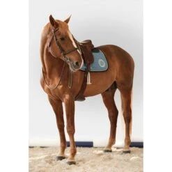 Harcour Schabracke Karembar Springen Navy Warmblut -Waldhausen Verkaufe harcour frenchblue karembar tapis de selle rider 1.4db6c3 2