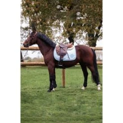 Harcour Schabracke Sabourg Vielseitigkeit Rosa Pony -Waldhausen Verkaufe harcour sabour blue site1.38f6a6