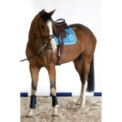 Harcour Schabracke Siriel Springen Grün Warmblut -Waldhausen Verkaufe harcour siriel baby blue 2.36abe6 5