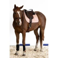 Harcour Schabracke Siriel Springen Baby Blau Warmblut -Waldhausen Verkaufe harcour siriel baby pink 2.16af91 5