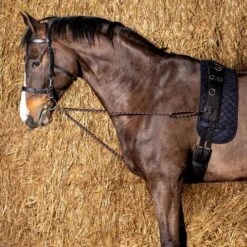 Harry's Horse Longe V-line Schwarz -Waldhausen Verkaufe harry 28400074 zwart 2.02be07