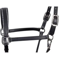 Harry's Horse Halfter Sparkle Leder Schwarz -Waldhausen Verkaufe harrys horse 21 04 28500053 zwart 2.390a3c