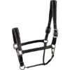 Harry's Horse Halfter Sparkle Leder Schwarz -Waldhausen Verkaufe harrys horse 21 04 28500053 zwart.bb1856