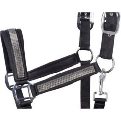 Harry's Horse Halfter Disco Fever Navy -Waldhausen Verkaufe harrys horse 21 04 31000048 zwart 2.854206 1