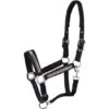 Harry's Horse Halfter Disco Fever Schwarz -Waldhausen Verkaufe harrys horse 21 04 31000048 zwart.01c834