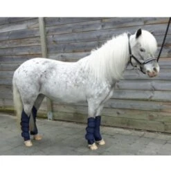 HB Ruitersport Transportgamaschen Little Sizes Violett -Waldhausen Verkaufe hb 1303 navy 1.2bccd6