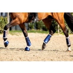 HB Ruitersport Beinschutz Gold Rush Glitter Navy -Waldhausen Verkaufe hb 226 blauw 1.0ce176