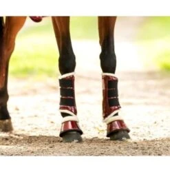 HB Ruitersport Beinschutz Grün Shetland -Waldhausen Verkaufe hb 226 burgundy.086f35 2