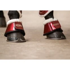 HB Ruitersport Hufglocken Crown Cherry -Waldhausen Verkaufe hb 231 burgundy.4e1d86 2