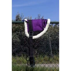 HB Showtime Little Sizes Fuchsia Pony -Waldhausen Verkaufe hb 623 paars.7e0ae9