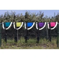 HB Showtime Little Sizes Türkis Pony -Waldhausen Verkaufe hb 623.1e1724 1