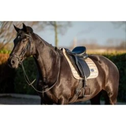 HB Showtime Schabracke Lake View Dressur Rose Gold Warmblut -Waldhausen Verkaufe hb 640 creaming.3fdaab