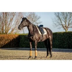 HB Showtime Schabracke Lake View Dressur Rose Gold Warmblut -Waldhausen Verkaufe hb 640 creaming.e6e024