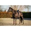 HB Showtime Schabracke Lake View Dressur Rose Gold Warmblut -Waldhausen Verkaufe hb 640 rose.461cd7