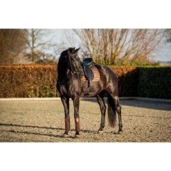 HB Showtime Schabracke Lake View Dressur Rose Gold Warmblut -Waldhausen Verkaufe hb 640 rose.ea14ad