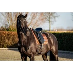 HB Showtime Schabracke Lake View Dressur Rose Gold Warmblut -Waldhausen Verkaufe hb 640 rose.f25836