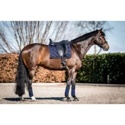 HB Showtime Schabracke Crown Dressur Schwarz -Waldhausen Verkaufe hb 641 navy.141590 1