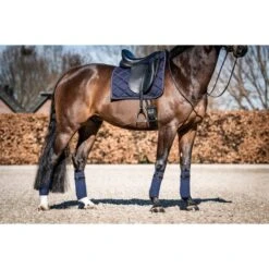 HB Showtime Schabracke Crown Dressur Royal Blue Warmblut -Waldhausen Verkaufe hb 641 navy.8e9b03 3