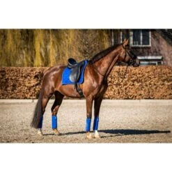 HB Showtime Schabracke Crown Dressur Royal Blue Warmblut -Waldhausen Verkaufe hb 641 royalblue.3ffa90 3