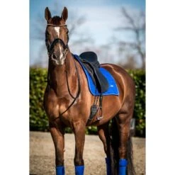 HB Showtime Schabracke Crown Dressur Moosgrün -Waldhausen Verkaufe hb 641 royalblue.6089dc