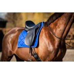 HB Showtime Schabracke Crown Dressur Royal Blue Warmblut -Waldhausen Verkaufe hb 641 royalblue.b23404 3
