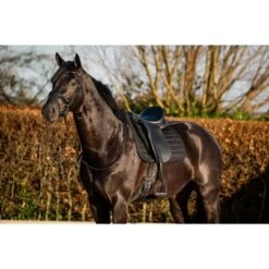 HB Showtime Schabracke Glitty Dressur Schwarz Warmblut -Waldhausen Verkaufe hb 646 zwart.424cf4
