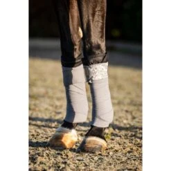 HB Ruitersport Bandagen Showtime Lake View Set Creamy One Size -Waldhausen Verkaufe hb 687 grey.602bfb