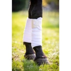 HB Ruitersport Bandagen Lake View Burgunderrot One Size -Waldhausen Verkaufe hb 687 pearlwit 1.88b6f0