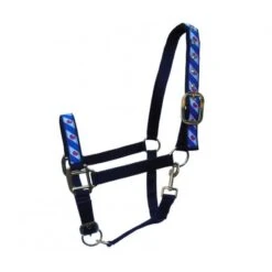 HB Ruitersport Halfter Friesch Navy -Waldhausen Verkaufe hb 722 zw.37597e