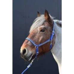 HB Halfter Diamonds Collection Schwarz -Waldhausen Verkaufe hb 731a royal blue.a5fd2e 2