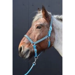 HB Halfter Diamonds Collection Rot -Waldhausen Verkaufe hb 731a turquiose.f2d1af 1