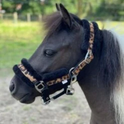 HB Halfter Leopard Leopard -Waldhausen Verkaufe hb 732 2.9510cf