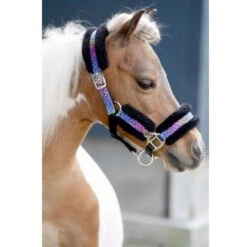 HB Halfter Funny Little Sizes Schwarz/Rainbow